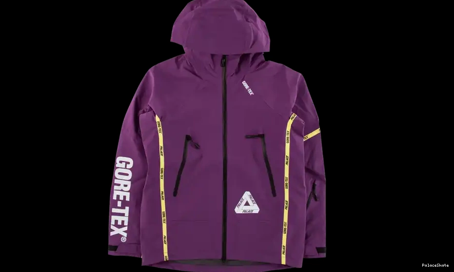 Cheap Palace Jacket Gore-Tex Palex 0531
